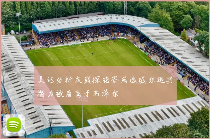 美记分析灰熊探花签或选威尔逊其潜力被看高于布泽尔