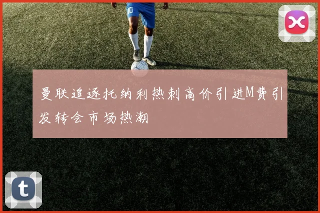 曼联追逐托纳利热刺高价引进M费引发转会市场热潮